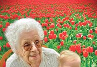 An elderly woman sits with a young relative in a blooming tulip field