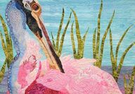 Image of Roseate spoonbill quilt.