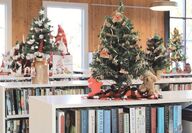 Tiny Christmas trees on top of library book shelves