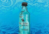 Image of oil painting of water bottle with bright blue ocean background.