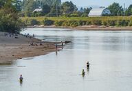 Fishermen waist deep in the Skagit River.