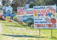 The farm stand at Hedlin's Family Farm has sprouted a field of colorful signs.